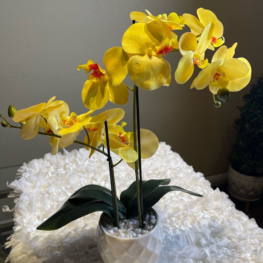 Orchid Artificial Yellow Arrangement